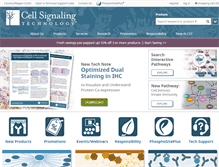Tablet Screenshot of cellsignal.com